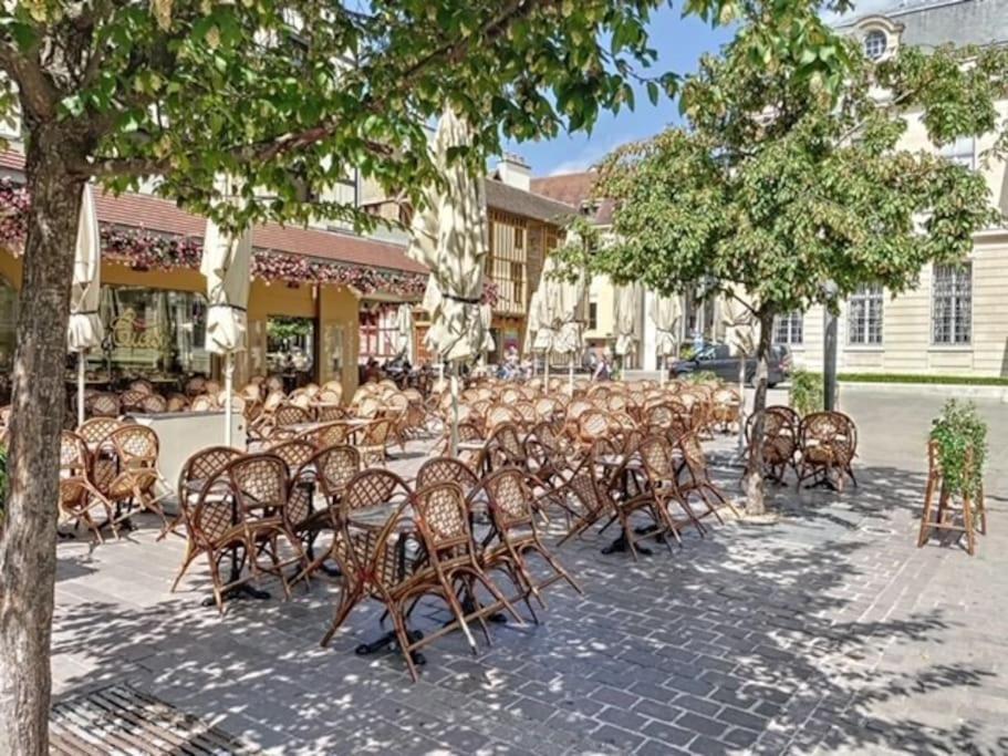 Appartement Au Coeur De Troyes Kültér fotó